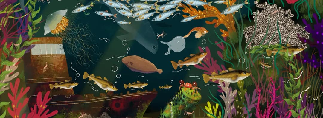 Jakie zwierzęta żyją w Bałtyku? Fascynujący świat morskiej fauny