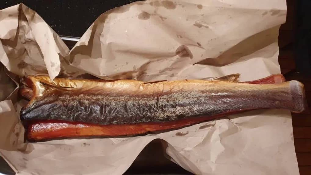 Kiedy świeże ryby nad morzem? Sprawdź, co warto wiedzieć o sezonie