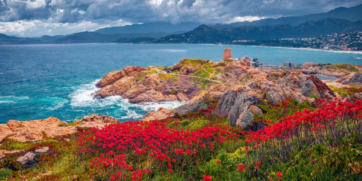 Ile kosztuje prom na Korsykę? Sprawdź najniższe ceny i trasy